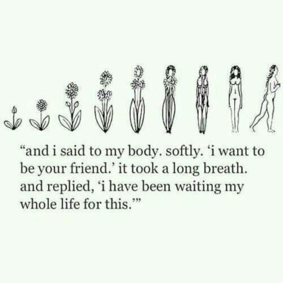 Over Pumpkin Chariot